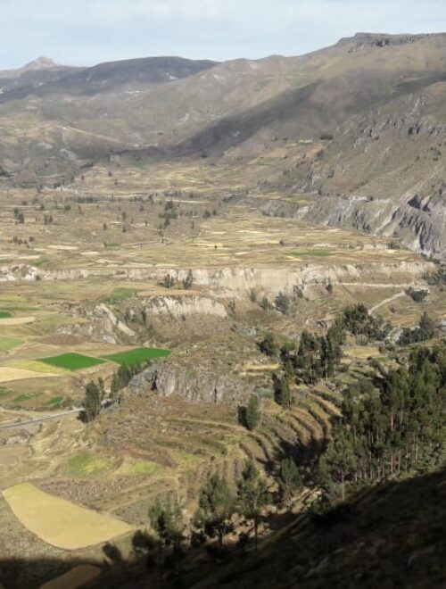 CONVENTIONAL TOUR WITH SOME SHORT TREKS COLCA CANYON 2 DAYS 1 NIGHT / SHORT ROUTE – OVERNIGHT IN CABANACONDE