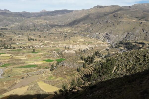 CONVENTIONAL TOUR WITH SOME SHORT TREKS COLCA CANYON 2 DAYS 1 NIGHT / SHORT ROUTE – OVERNIGHT IN CABANACONDE