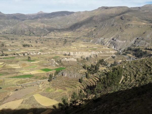 CONVENTIONAL TOUR WITH SOME SHORT TREKS COLCA CANYON 2 DAYS 1 NIGHT / SHORT ROUTE – OVERNIGHT IN CABANACONDE