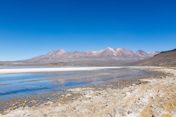 SALINAS LAGOON TOUR