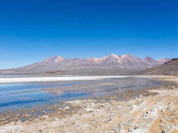 SALINAS LAGOON TOUR